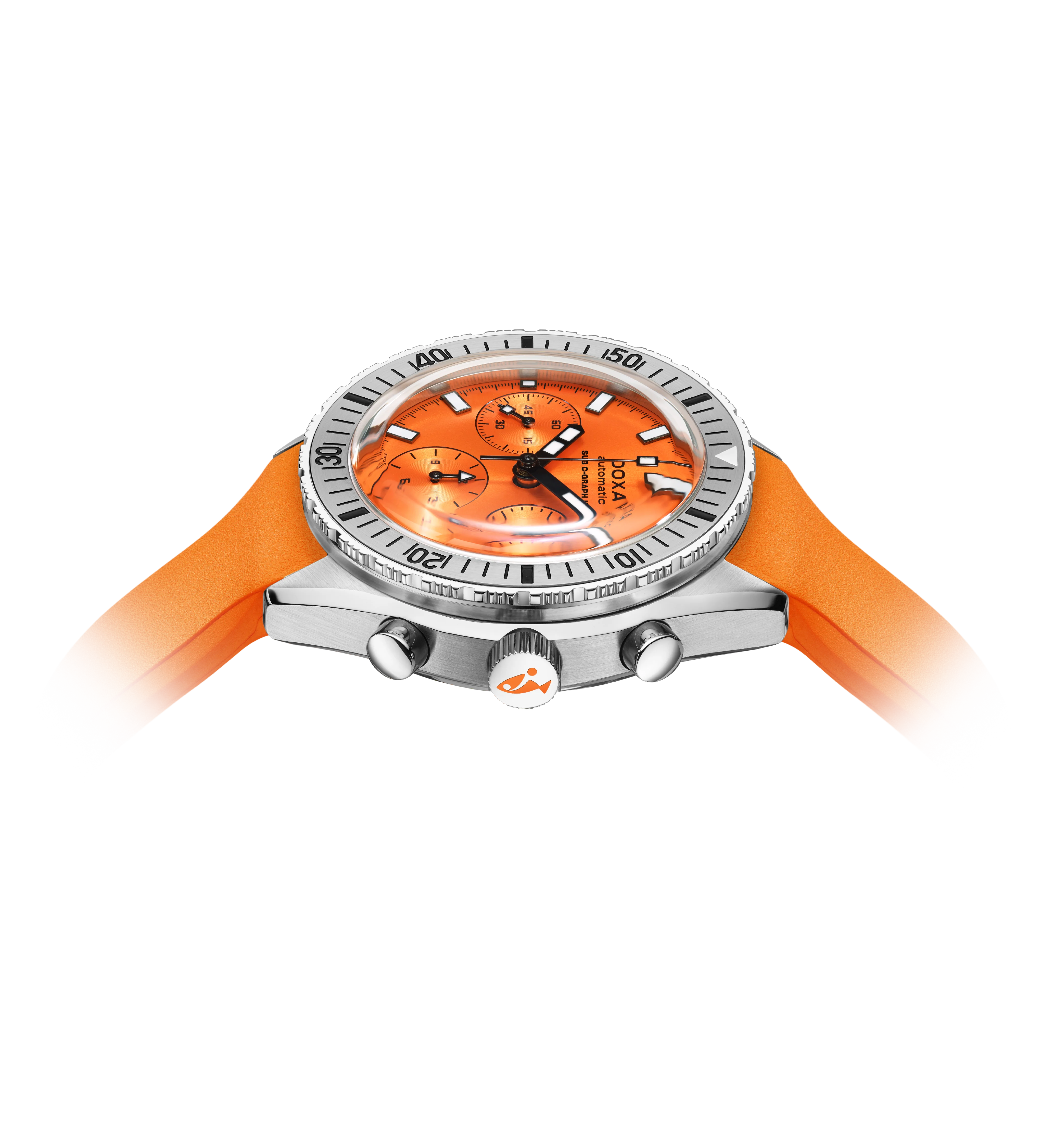Professional - Image 6