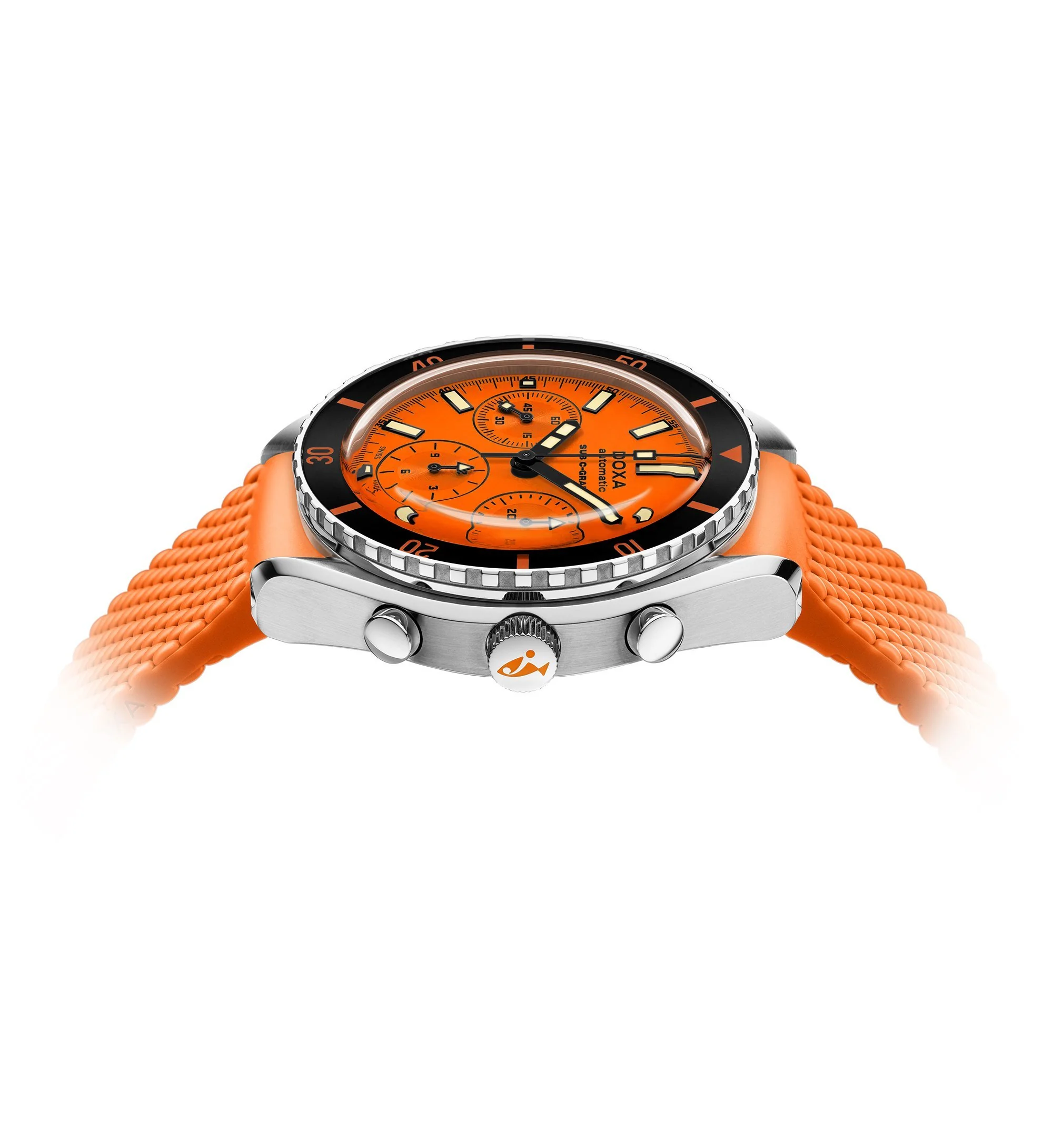 Professional - Image 6