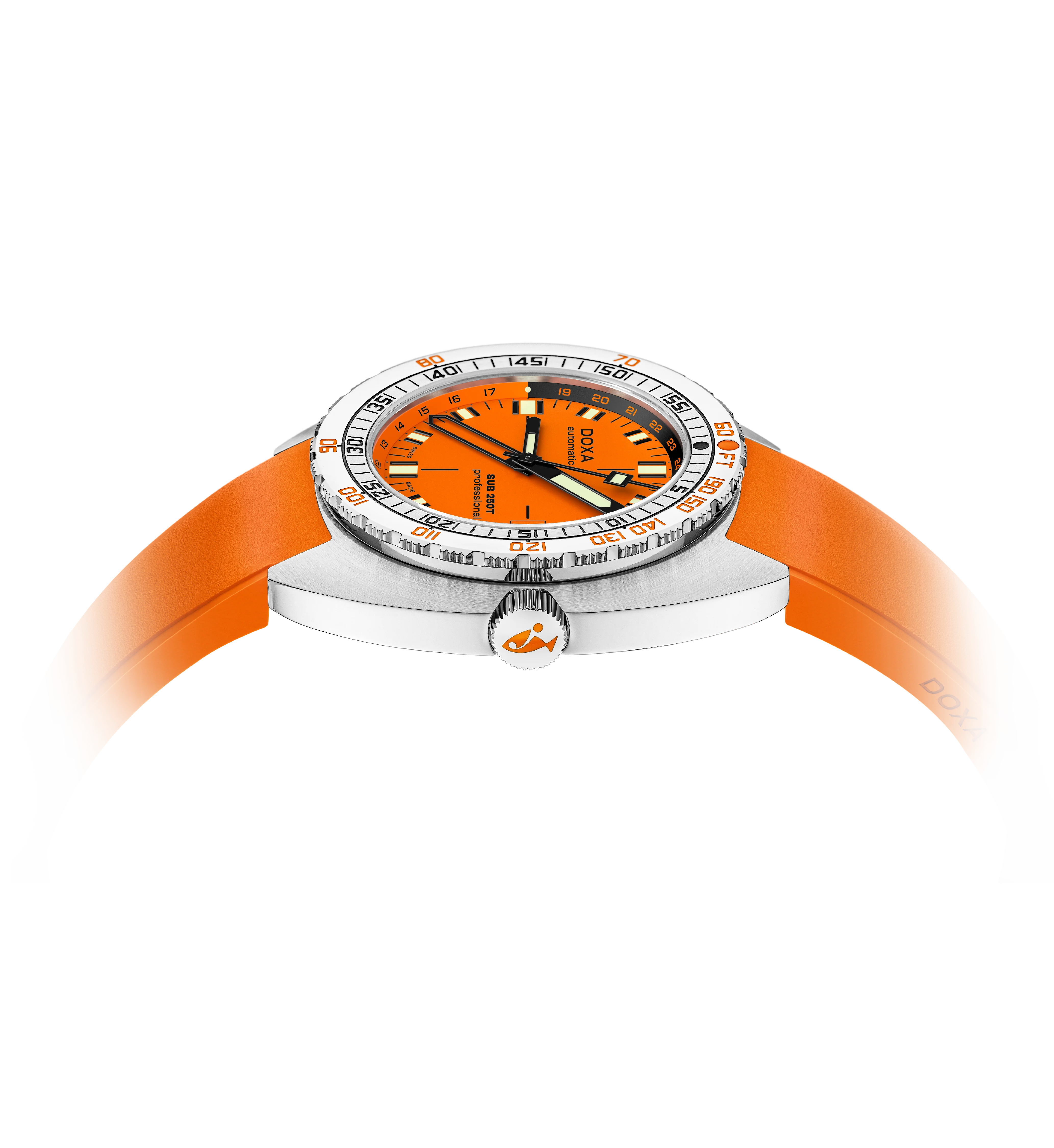 Professional - Image 6
